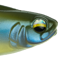 Ghost Minnow
