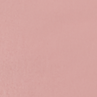 Pink Agave