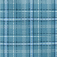 Cloudburst/Multi Plaid