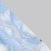Carolina Blue/Halo Gray
