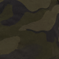 Forest Night Camo