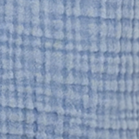 Light Indigo
