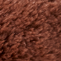 River Otter