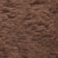River Otter-19