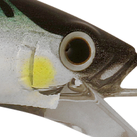 Green Mackerel