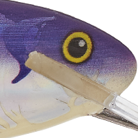 Holographic Purple Tiger