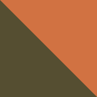 Dark Olive/Gold Flame