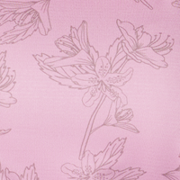 Cosmos Tigerlines Tonal
