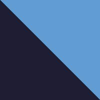 Midnight Navy/Viral Blue