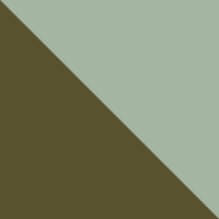 Forest Olive/Misty Sage