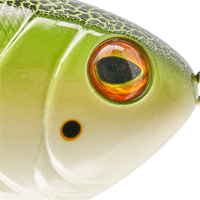 Bullfrog