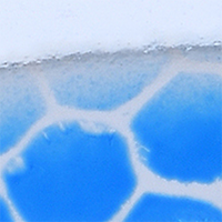 Silver Blue Scale