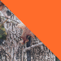 TrueTimber Kanati Mini/Orange