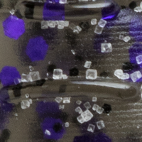 Smoke/Clear Purple Flake