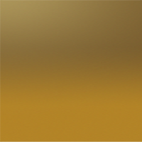 Brown/Gold Chromance Mirror