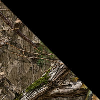 Mossy Oak Country DNA/Black