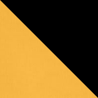 Steeltown Gold/Black