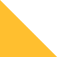 Steeltown Gold/White