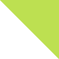 White/High Vis Yellow