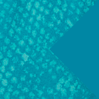 Circuit Teal/Circuit Teal/Radi