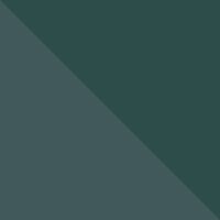Dark Forest/Sea