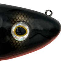 Black Perch