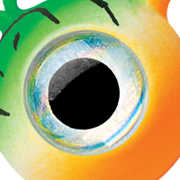 Green Tiger UV