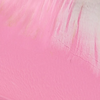 Pink Multi