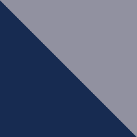 Insignia Blue/Monument