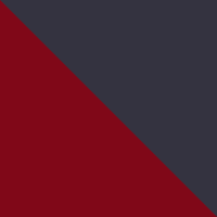 Red Dahlia/Asphalt