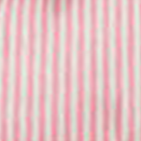Camellia Rose Stripe
