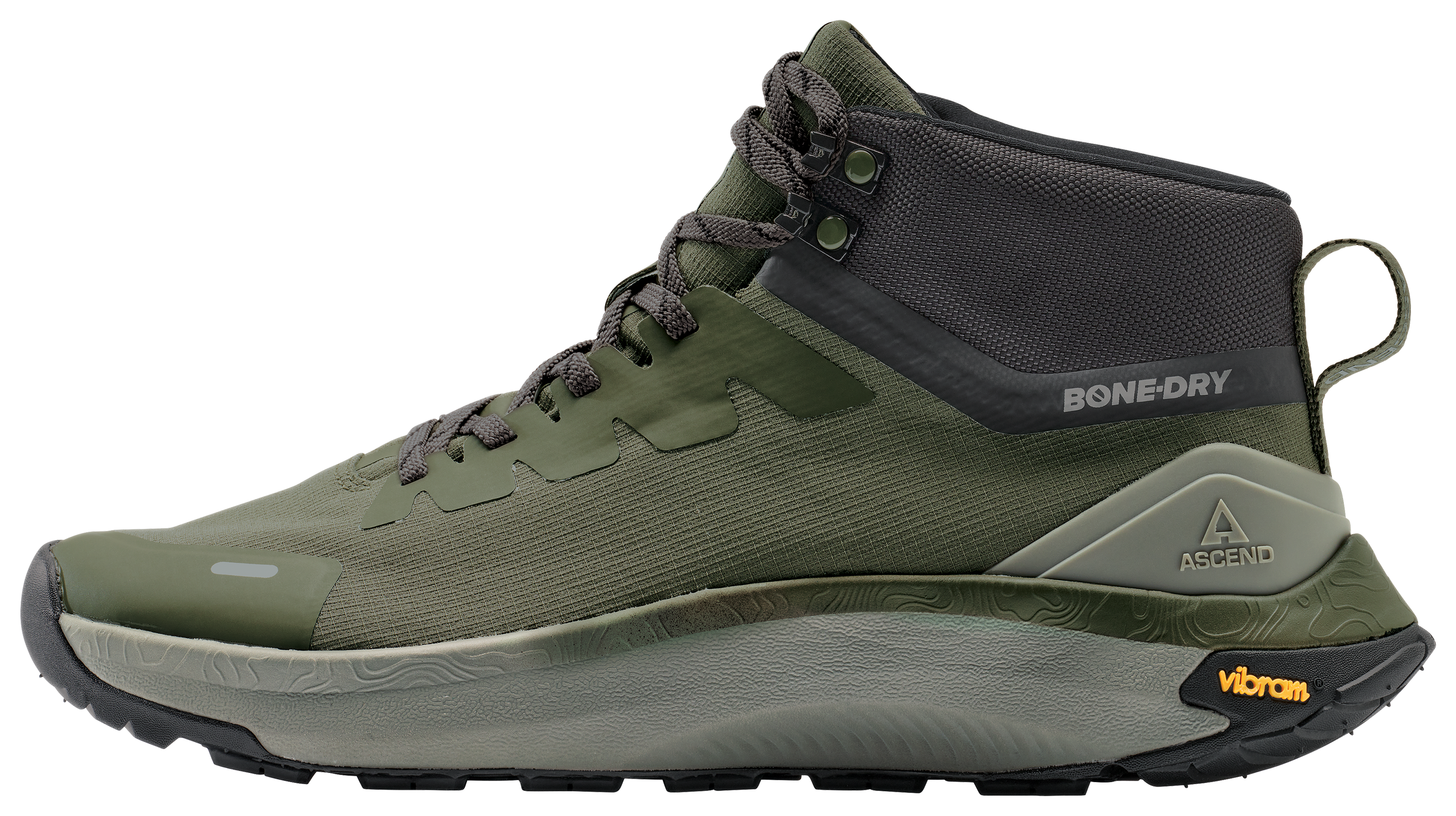 Olive Night/Rock Ridge