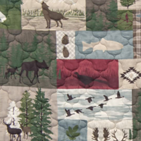 Montana Forest
