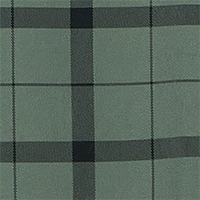 Green Check