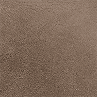 Fossil