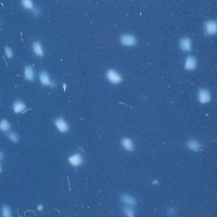 Speckled Blue