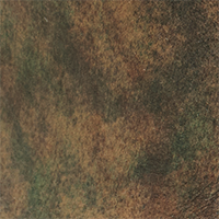 Earth Camo