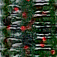 Watermelon/Red Flake