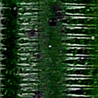 Fading Watermelon/Black Flake