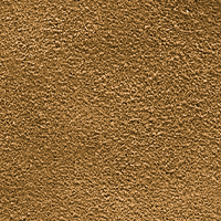 Cinnamon