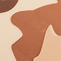 Desert Camo