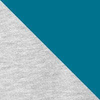 TNF Light Grey Heather/Alkalin