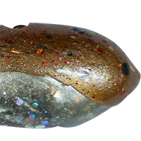 Squid