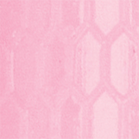 Bubble Gum