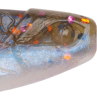 Goby