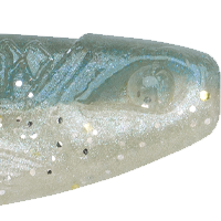 Sexy Shad