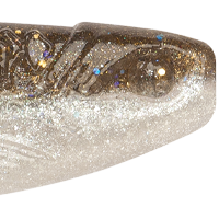 Gizzard Shad