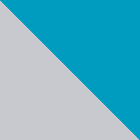 Microchip Grey/Maui Blue