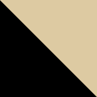 Black/Metallic Gold