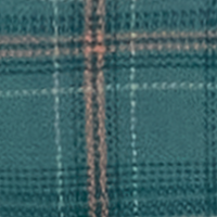 Sagebrush Green